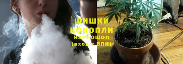 прущие грибы Новокубанск