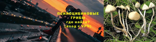 прущая мука Новодвинск