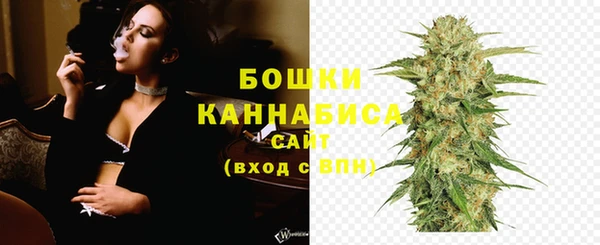 прущие грибы Новокубанск
