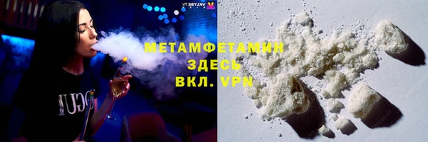 прущие грибы Новокубанск