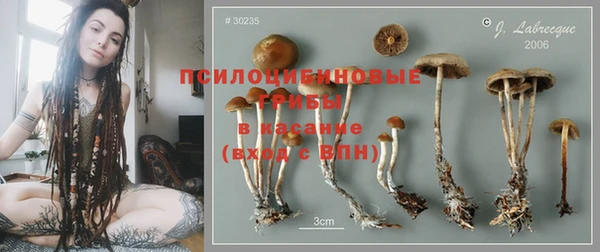 сатива Няндома