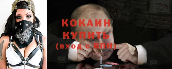 прущие грибы Новокубанск