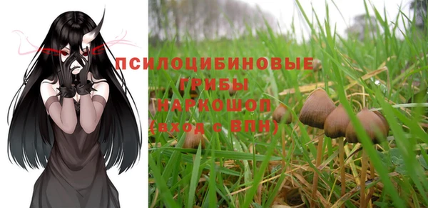 прущая мука Новодвинск