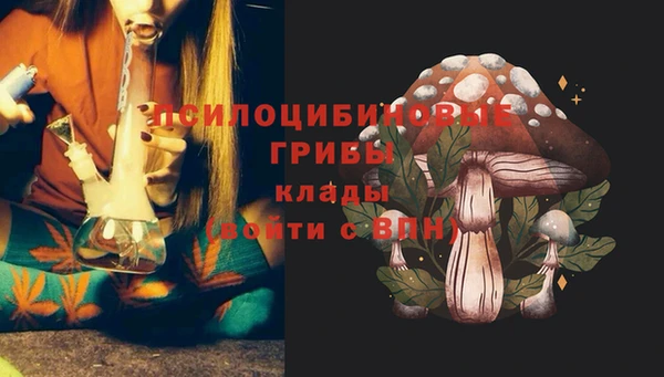 прущие грибы Новокубанск