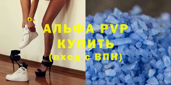 прущие грибы Новокубанск