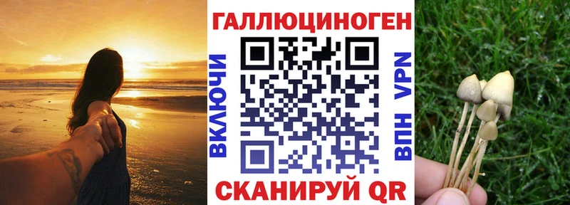 Галлюциногенные грибы прущие грибы  Лангепас 